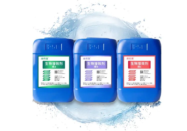 庫巴魯團隊研發的生物增效劑（菌）